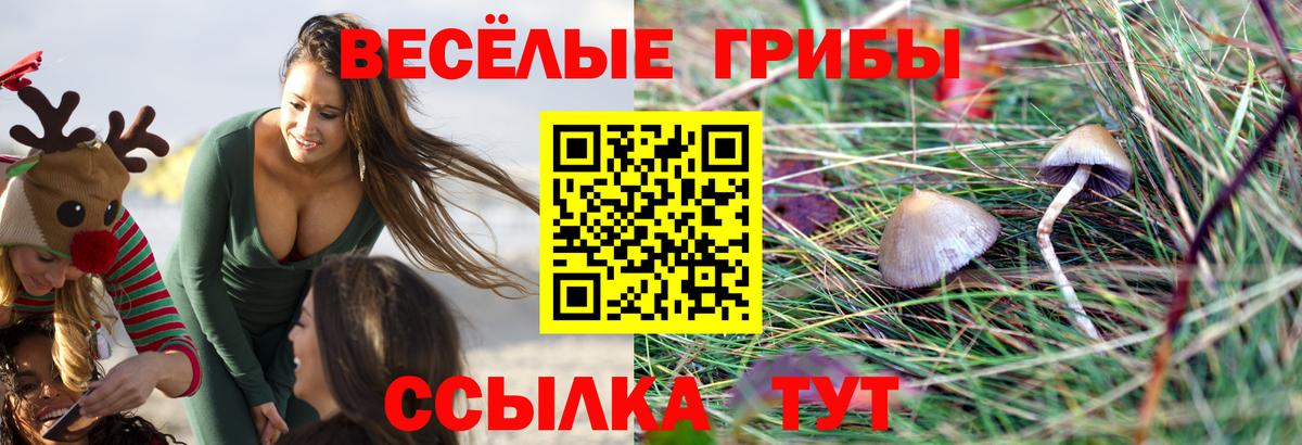 Галлюциногенные грибы Cubensis Чебаркуль